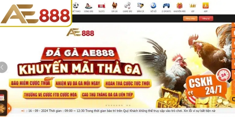 Tỷ lệ cược phong phú