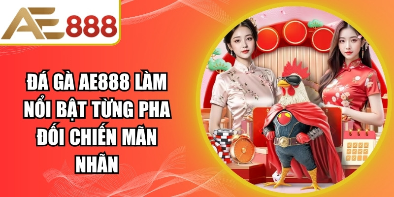 Đá Gà AE888