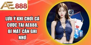 Lưu Ý Khi Chơi Cá Cược Tại AE888