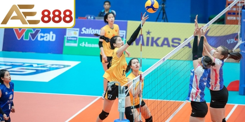 Tham gia bóng chuyền hấp dẫn 